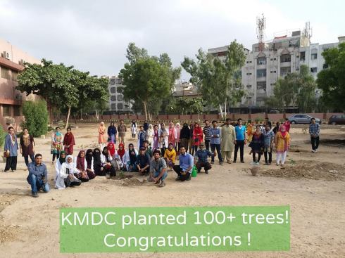 KMDC plantation
